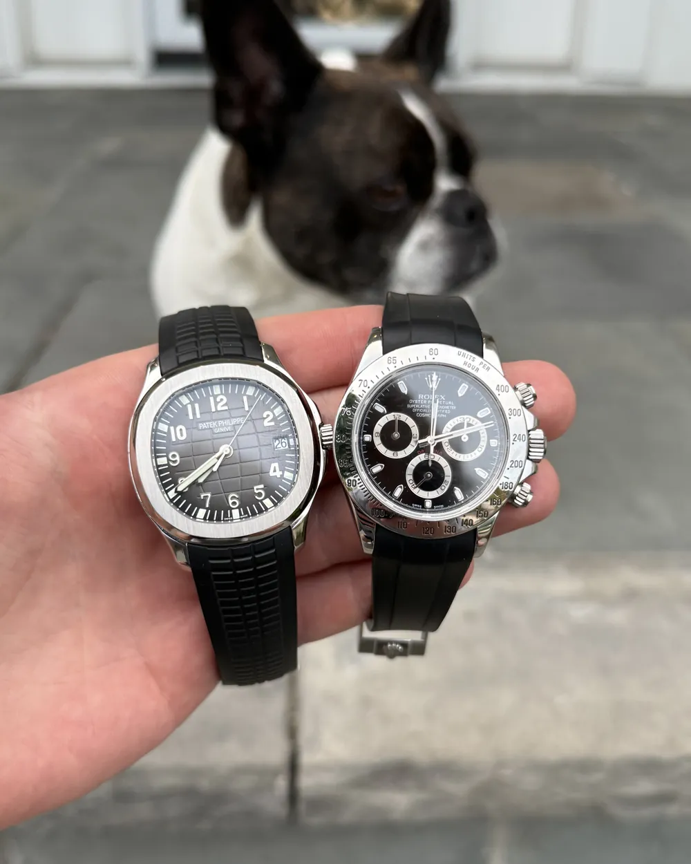 A black-and-white dog looks on from behind as Luke holds up two steel watches on black rubber straps, a time-only and a chronograph